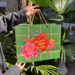Túi chúc mừng năm mới to T43B - 40x32x16cm