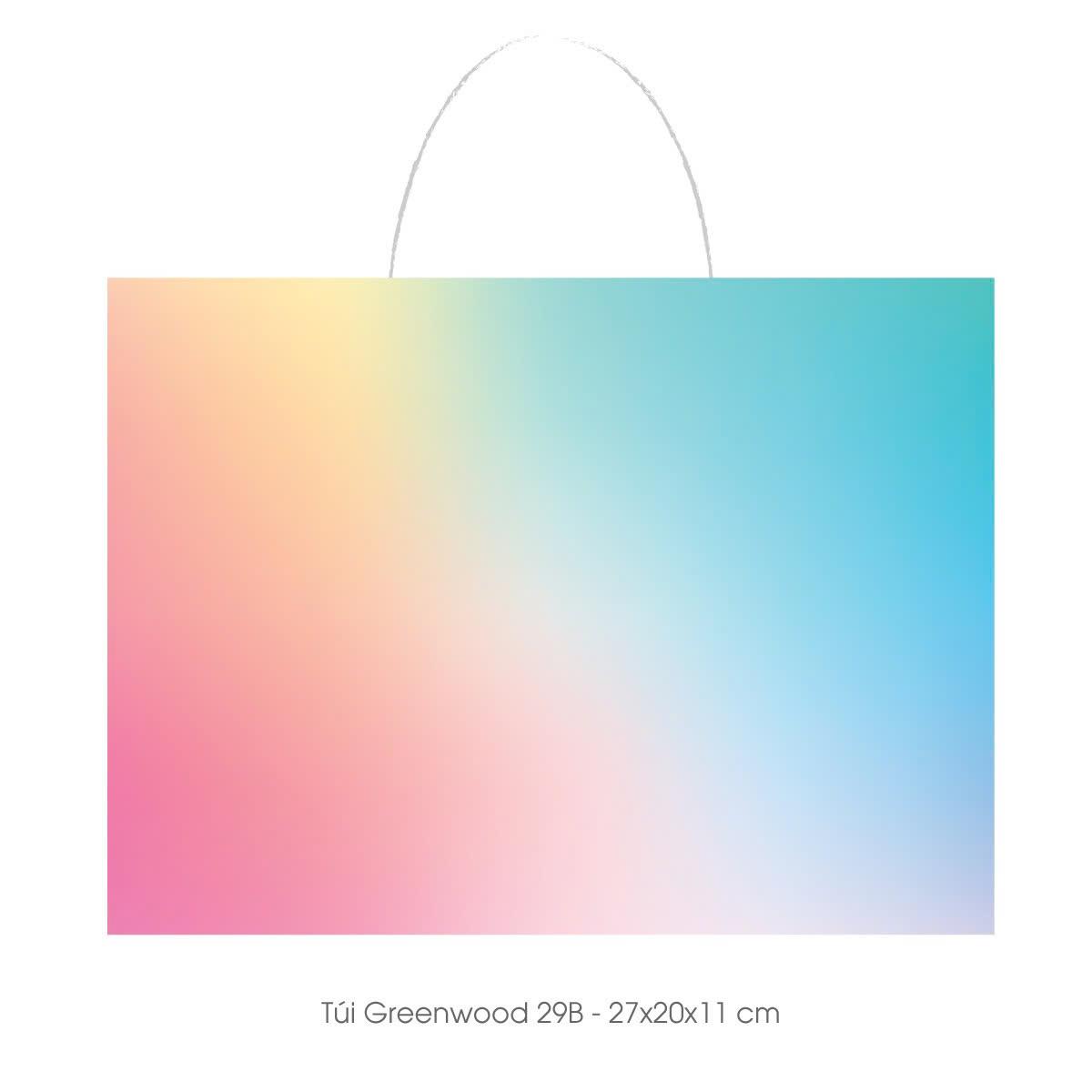 Túi giấy đựng quà T29C - 27x20x11cm