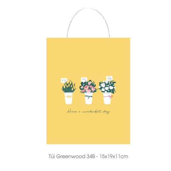 Túi giấy đựng quà T34B - 15x19x11cm