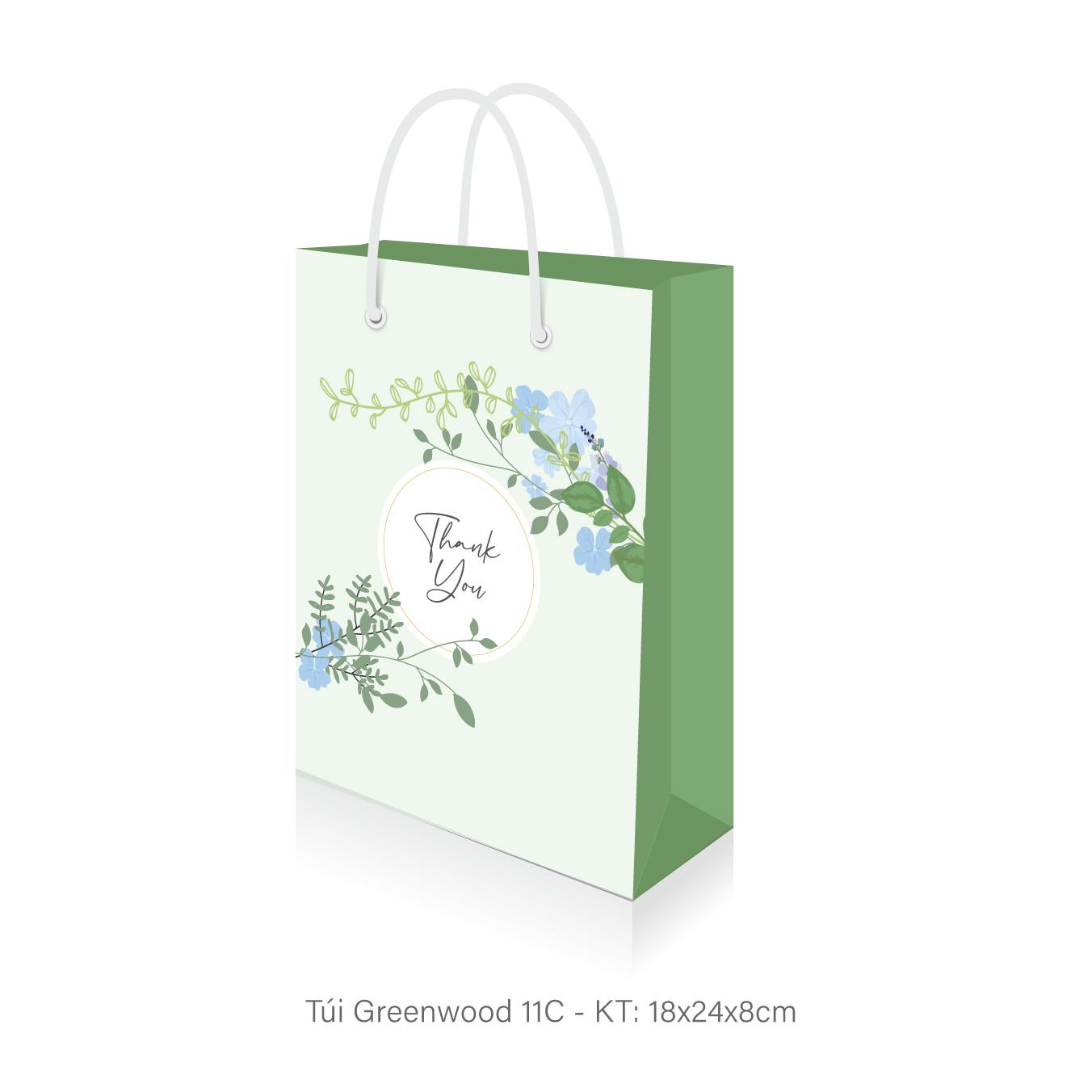 Túi giấy đựng quà T11C