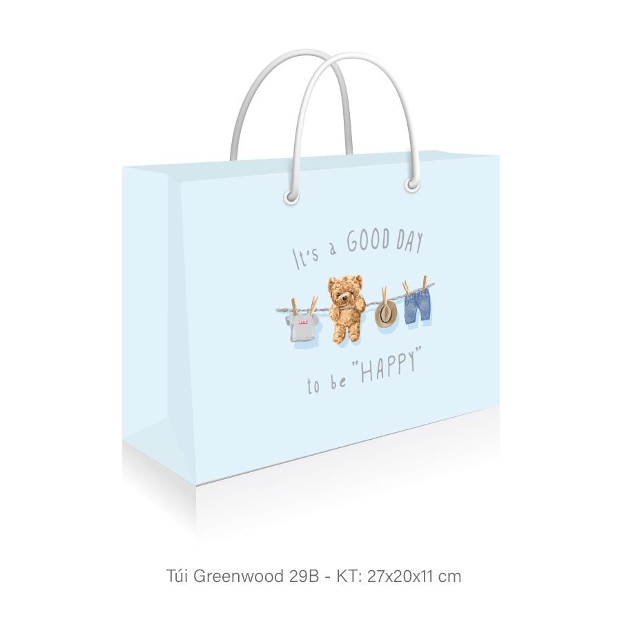 Túi giấy đựng quà T29B